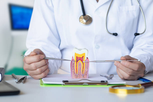 Best Same-Day Emergency Dentist in North Les, AK